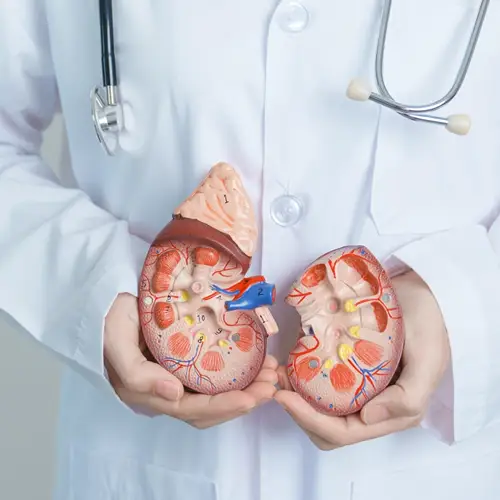 Kidney Surgery in Panvel